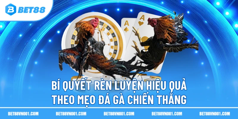 Mẹo Đá Gà Chiến Thắng - Bật Mí Chiến Thắng Nhanh Nhất 2 Mẹo Đá Gà Chiến Thắng - Bật Mí Chiến Thắng Nhanh Nhất Bí quyết rèn luyện hiệu quả theo mẹo đá gà chiến thắng