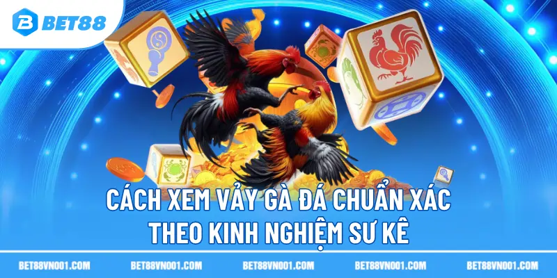 cach xem vay ga da chuan xac theo kinh nghiem su ke Cách Xem Vảy Gà Đá Chuẩn Xác Theo Kinh Nghiệm Sư Kê